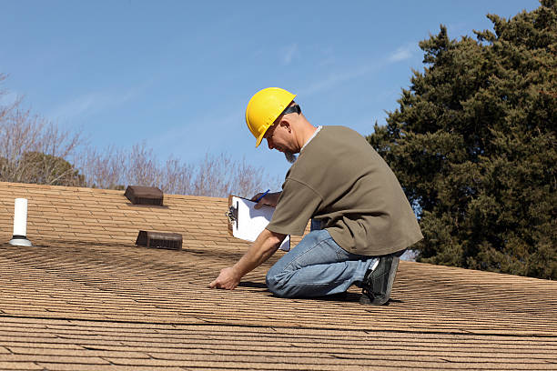 Best Solar Panel Roofing Installation  in Occidental, CA
